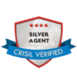 silver-agent-zestyandnesty